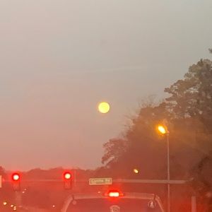 Meet your Posher, Ashantia